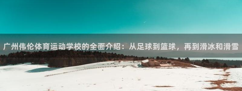 JJB竞技宝官方正版app集团E.ON:广州伟伦体育运动学校